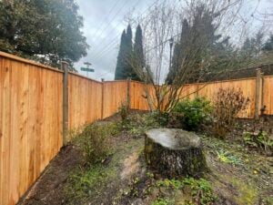 Cedar Fence Replacement in Beaverton