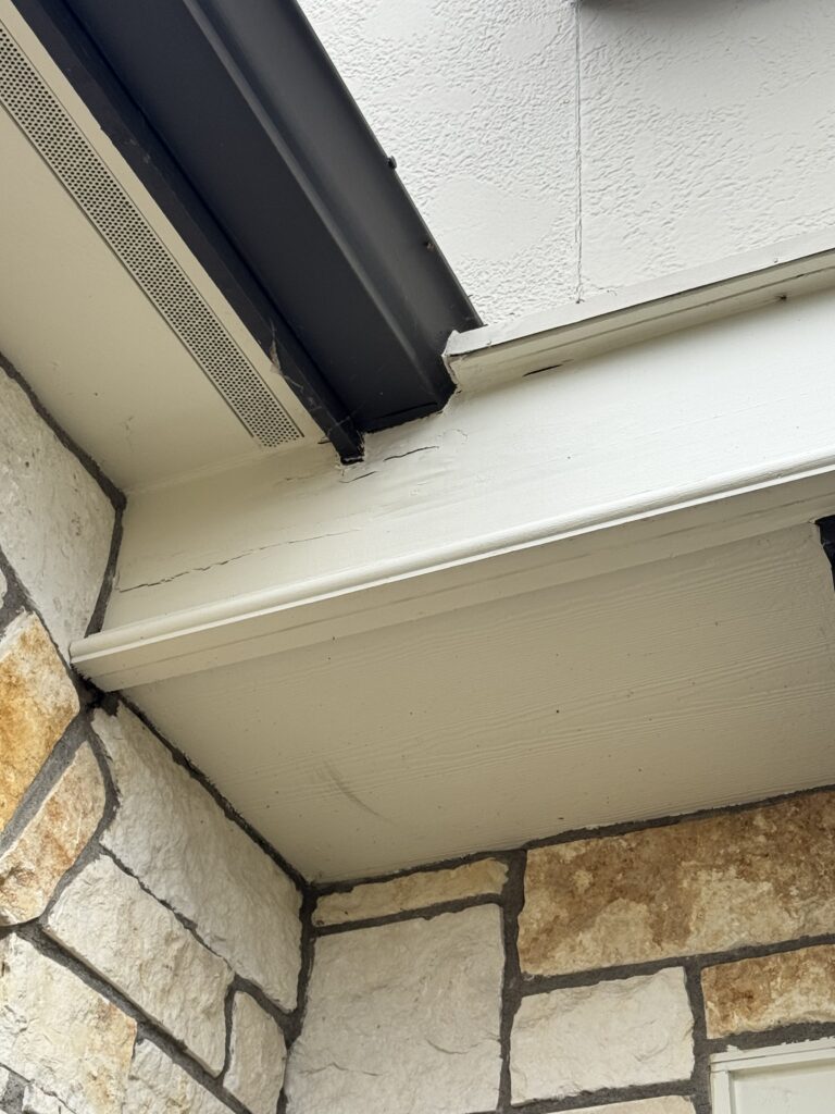 Dry Rot Repair in Portland — Forest Heights