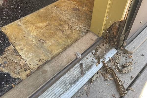 Dry Rot Repair